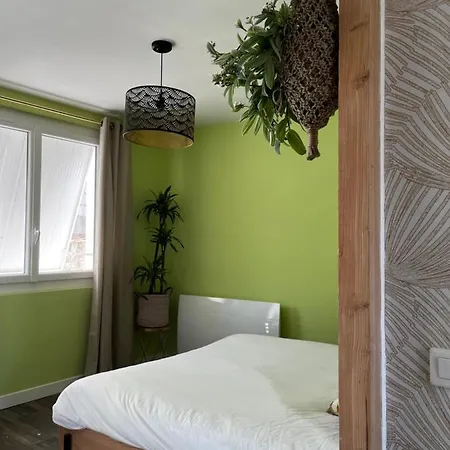 T Chez Nous Parking Prive Ascenseur Balcon Apartment